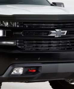 GT Styling Bug-Gard
